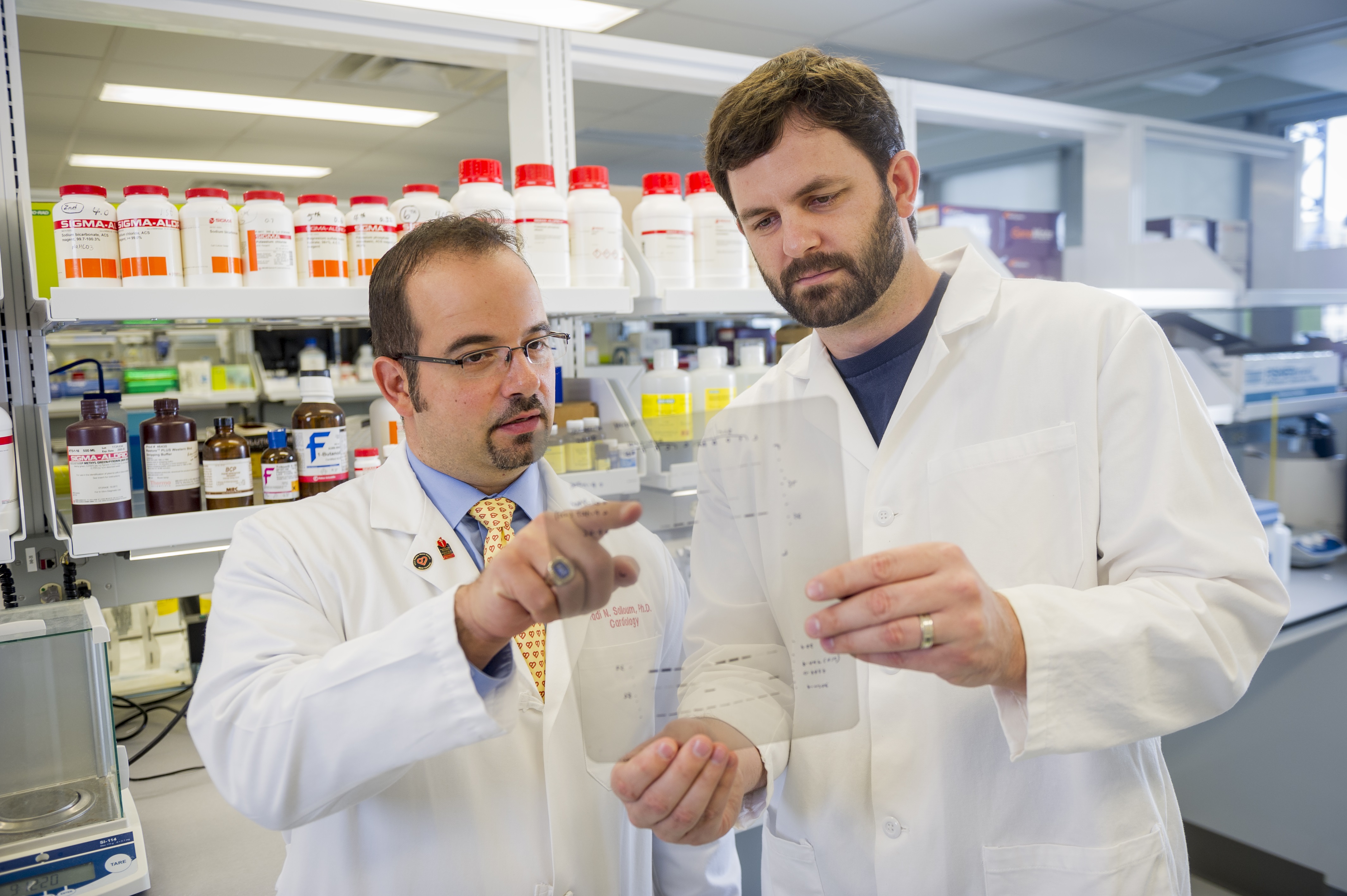 Fadi Salloum, Ph.D., (left) in the lab with David Durrant, Ph.D., (right) a former graduate student from the Department of Biochemistry and Molecular Biology. Photo courtesy of VCU Health Pauley Heart Center.